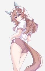 1girl alternate_costume animal_ears ass breasts buruma closed_mouth commentary_request highres horse_ears horse_girl horse_tail looking_at_viewer red_eyes small_breasts solo standing still_in_love_(umamusume) tail thighs tofu_thunder umamusume veil white_background