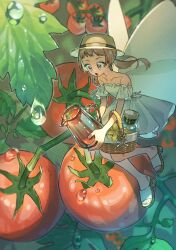 1girl absurdres ayumi basket braid brown_eyes brown_hair collarbone dress fairy fairy_wings flying hat highres holding jar leaf mini_person minigirl off-shoulder_dress off_shoulder open_mouth original pitcher_(container) sandals solo tomato tomato_plant twintails water water_drop wings