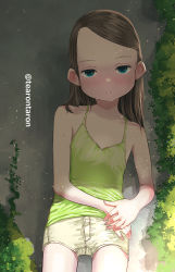 1girl absurdres black_hair blue_eyes blush camisole female_focus highres hot looking_at_viewer original parted_lips plant shadow shorts solo sweat tearontaron twitter_username