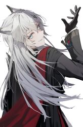 1girl absurdres animal_ears aqua_eyes arknights arm_up black_gloves commentary from_behind gloves grey_hair hair_between_eyes highres lappland_(arknights) lappland_the_decadenza_(arknights) long_hair long_sleeves looking_at_viewer looking_back nekomatamago simple_background solo turning_head upper_body white_background wolf_ears wolf_girl