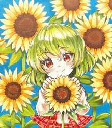 Rule 34 | 1girl, blush, commentary request, flower, green hair, hair between eyes, highres, kazami yuuka, long sleeves, medium hair, plaid clothes, plaid skirt, plaid vest, red eyes, red skirt, red vest, shirt, skirt, smile, solo, sunflower, tatuhiro, touhou, vest, white shirt