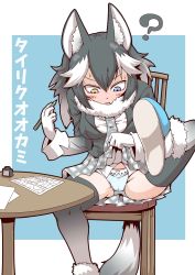 10s 1girl ? animal_ears black_hair black_thighhighs blazer blue_eyes blush chair character_name clothes_lift fur_collar fur_trim grey_wolf_(kemono_friends) hands_up heterochromia holding holding_pencil inkwell jacket kemono_friends leg_up lifting_own_clothes long_hair long_sleeves looking_down multicolored_hair necktie panties parted_lips pencil plaid_clothes plaid_neckwear plaid_skirt sitting skirt skirt_lift spread_legs sweat table tail thighhighs translation_request two-tone_hair underwear white_hair wolf_ears wolf_tail yellow_eyes zannen_na_hito