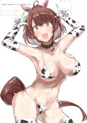 1girl absurdres ahoge alternate_costume animal_ears animal_print armpits arms_up bell belt belt_collar bikini black_belt black_choker brown_eyes brown_hair choker collar colored_tips commentary_request cow_print cow_print_bikini cow_print_gloves cow_print_thighhighs cowbell cowboy_shot dantsu_flame_(umamusume) ear_covers ear_ornament elbow_gloves front-tie_bikini_top front-tie_top gloves gluteal_fold highres horse_ears horse_girl horse_tail multicolored_hair nagisa_(imizogami) navel neck_bell open_mouth print_bikini print_gloves print_thighhighs short_hair side-tie_bikini_bottom simple_background smile solo stomach streaked_hair sweat swimsuit tail thighhighs umamusume white_background white_gloves white_hair