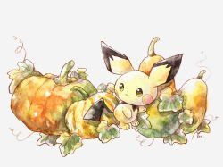 gen_2_pokemon leaf looking_to_the_side nintendo no_humans non_(kumakawayusu) painting_(medium) pichu pokemon pokemon_(creature) pumpkin simple_background smile solo traditional_media watercolor_(medium) white_background yellow_fur