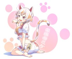 1girl :d animal_ears bad_feet barefoot bell between_fingers black_collar blush bracelet breasts cat_ears cat_tail coin collar commentary_request crop_top fang full_body goutokuji_mike hand_up holding jewelry jingle_bell looking_at_viewer looking_back maneki-neko medium_breasts midriff multicolored_hair open_mouth paw_pose paw_print paw_print_background puffy_short_sleeves puffy_sleeves purple_eyes short_hair short_sleeves shorts silver_hair simple_background smile soles solo streaked_hair tail tanasuke toes touhou white_background white_shorts