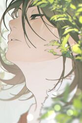 Rule 34 | 1boy, adam&#039;s apple, blurry, bokeh, brown hair, chromatic aberration, commentary, depth of field, duckchuni, film grain, green eyes, hair between eyes, highres, isoi reiji, light particles, looking up, male focus, parted lips, plant, red shirt, saibou shinkyoku, shirt, short hair, solo, symbol-only commentary