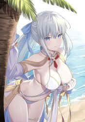 1girl bare_shoulders bikini blue_eyes blush braid breasts cleavage detached_sleeves fate/grand_order fate_(series) gold_trim hair_ornament highres jewelry large_breasts long_hair long_sleeves looking_at_viewer morgan_le_fay_(fate) morgan_le_fay_(water_princess)_(fate) natu_zame navel outdoors pabst_blue_ribbon ponytail puffy_long_sleeves puffy_sleeves red_brooch ribbon solo swimsuit tassel thighlet white_bikini white_swimsuit yellow_ribbon