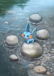 blue_skin colored_skin creatures_(company) dorobo_93 fins game_freak gen_3_pokemon head_fins highres mudkip nintendo no_humans on_rock open_mouth pokemon pokemon_(creature) ripples rock sitting solid_oval_eyes tail water