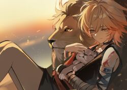 1boy aged_down animal arm_tattoo armlet bandaged_arm bandages black_shirt blonde_hair child commentary facial_tattoo gradient_hair hair_between_eyes highres holding holding_animal honkai:_star_rail honkai_(series) jewelry lion male_focus multicolored_hair mydei_(honkai:_star_rail) petting red_hair red_tattoo shirt sitting sleeveless sleeveless_shirt solo suamk2 tattoo yellow_eyes