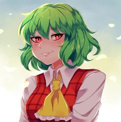 ascot collared_shirt green_hair hair_between_eyes hanaarts highres kazami_yuuka plaid_clothes plaid_vest red_eyes red_vest shirt short_hair smile solo touhou vest wavy_hair white_shirt yellow_ascot