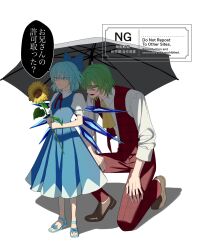 blue_bow blue_dress blue_eyes blue_hair blue_sandals bow brown_shoes cirno closed_mouth dress expressionless fairy flower from_behind genderswap genderswap_(ftm) green_hair highres holding holding_umbrella ice ice_wings kazami_yuuka long_sleeves medium_hair neckerchief nubezon open_mouth pants plaid_clothes plaid_pants plaid_vest red_eyes red_pants red_vest sandals shirt shoes short_sleeves smile speech_bubble sunflower touhou translation_request umbrella vest watermark white_background white_shirt wings yellow_neckerchief