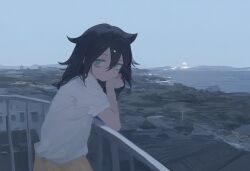 1girl amesya2018 bags_under_eyes black_hair closed_mouth green_eyes hair_between_eyes horizon kuroki_tomoko long_hair looking_at_viewer ocean outdoors shirt short_sleeves sky solo standing watashi_ga_motenai_no_wa_dou_kangaetemo_omaera_ga_warui! water white_shirt