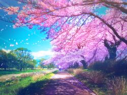 Rule 34 | aobara1101, blue sky, cherry blossoms, day, falling petals, flower, grass, highres, original, outdoors, path, people, petals, pink flower, road, scenery, shadow, sky, spring (season), tree
