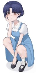 1girl absurdres ankle_socks arm_between_legs black_shoes blue_dress blue_hair brown_eyes closed_mouth collared_shirt commentary dress full_body fuurinkan_high_school_uniform hand_on_own_cheek hand_on_own_face hand_up highres looking_at_viewer mary_janes pinafore_dress ranma_1/2 school_uniform shirt shoes short_hair short_sleeves simple_background sleeveless sleeveless_dress socks solo squatting studiohaoto tendou_akane white_background white_shirt white_socks