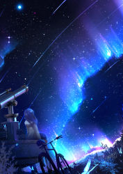 1girl amatsuki_rei aurora bicycle blue_butterfly blue_hair blue_moon blue_sky bug butterfly dutch_angle fantasy from_behind full_moon glowing grass highres insect long_hair moon night night_sky original scenery sitting sky star_(sky) star_(symbol) starry_sky telescope