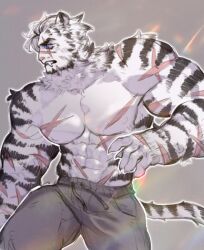 1boy abs animal_ears arknights bara clenched_teeth commentary cross_scar english_commentary fang furry furry_male grey_pants highres male_focus mountain_(arknights) multiple_scars muscular muscular_male navel nipples pants pectorals scar scar_across_eye scar_on_arm scar_on_chest scar_on_face scar_on_nose scar_on_stomach tail teeth tiger_boy tiger_ears tiger_stripes tiger_tail topless_male turro0on