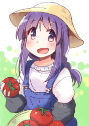 1girl blush commentary_request farmer female_focus green_background hat hinata_yukari holding long_hair long_sleeves looking_at_viewer open_mouth overalls purple_eyes purple_hair simple_background smile solo sun_hat suspenders tatsunokosso tomato white_background yuyushiki
