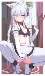 1girl absurdres animal_ear_fluff animal_ears cat cat_girl ears highres original panties purple_eyes thighhighs underwear white_thighhighs