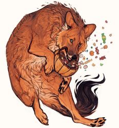 animal animal_focus brown_fur candy commentary dhole english_commentary food giulialibard halloween halloween_bucket highres no_humans original pawpads realistic simple_background solo white_background