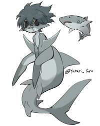 1girl animal between_legs black_eyes colored_skin drooling fins fish_tail full_body grey_hair grey_skin hand_between_legs highres looking_at_viewer monster_girl original pointy_ears shark shark_girl shark_tail sharp_teeth short_hair simple_background solo tail teeth torori_toro_(oimo_kenpi) white_background
