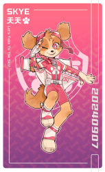 1girl animal_ears border character_name claws closed_mouth collar dog_ears dog_tail fingerless_gloves furry furry_female gloves goggles goggles_on_head gradient_background highres jetpack looking_at_viewer mixed-language_text one_eye_closed paw_patrol paw_print pawpads pink_eyes pink_shirt rakkasei_l salute shirt skye_(paw_patrol) smile tail translation_request white_border white_gloves wingsuit