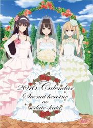 2016 3girls bare_shoulders blonde_hair blue_sky bouquet breasts bridal_veil brown_hair cloud day dress elbow_gloves facing_viewer flower full_body gloves green_dress hair_flower hair_ornament hand_on_own_hip herringbone highres jewelry kasumigaoka_utaha katou_megumi long_hair looking_at_viewer medium_breasts multiple_girls necklace official_art outdoors pink_dress red_flower red_rose romaji_text rose saenai_heroine_no_sodatekata sawamura_spencer_eriri short_hair sky small_breasts standing tagme tiara twintails veil wedding_dress white_flower white_rose yellow_flower yellow_rose