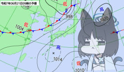 1girl :&lt; animal_ear_fluff animal_ears bikini bikini_under_clothes black_hair blue_archive blue_bikini cat_ears cat_girl cat_tail chibi closed_mouth commentary grey_eyes jacket kikyou_(blue_archive) kikyou_(swimsuit)_(blue_archive) multiple_tails nyaru_(nyaru_4126) open_clothes open_jacket solo swimsuit tail translation_request two_tails weather_map white_jacket