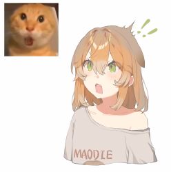 ! !! 2794938064 absurdres animal_ears cat_ears chinese_commentary commentary green_eyes hair_between_eyes highres humanization meme off-shoulder_shirt off_shoulder orange_cat original parody round-headed_mao_die round-headed_mao_die_(meme) shirt surprised white_background