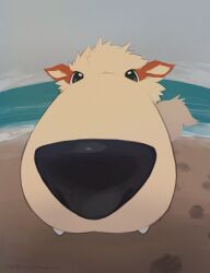 arcanine beach black_eyes dog fangs fisheye foreshortening game_freak gen_1_pokemon looking_at_viewer nintendo no_humans ocean olyester outdoors paw_print pokemon pokemon_(creature) solo