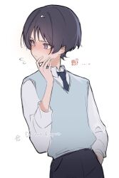 Rule 34 | 1boy, alternate costume, arm at side, averting eyes, black hair, black necktie, black pants, blue sweater vest, blunt ends, blush, casual, closed mouth, collared shirt, contemporary, embarrassed, genshin impact, hand in pocket, hand up, highres, long sleeves, looking to the side, male focus, necktie, nero hanken, pants, purple eyes, scaramouche (genshin impact), shirt, solo, sweater vest, upper body, white background, white shirt, white sleeves