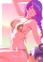 Rule 34 | 1girl, bakemonogatari, ball, beachball, bikini, border, breasts, gold bikini, highres, large breasts, long braid, long hair, monogatari (series), multicolored eyes, navel, parted lips, purple hair, rapa rachi, senjougahara hitagi, solo, stomach, sunset, swimsuit, thighs, two-tone eyes, wet, white border