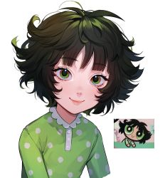 Rule 34 | 1girl, brown hair, buttercup (ppg), buttercup redraw challenge (meme), colored inner hair, commentary, derivative work, english commentary, green eyes, green hair, green shirt, lavelis, looking at viewer, meme, messy hair, multicolored hair, pajamas, polka dot, polka dot shirt, powerpuff girls, reference inset, screenshot inset, screenshot redraw, shirt, simple background, smile, solo, two-tone hair, upper body, white background