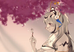 1girl absurdres ahoge animal_ears breasts cherry_blossoms cleavage closed_mouth commentary dennis_choo english_commentary flower furry furry_female grey_hair hair_between_eyes hair_flower hair_ornament hannah_(mahjong_soul) highres holding holding_flower large_breasts long_bangs long_hair mahjong_soul pink_eyes profile shirt smile solo striped_hair tiger_ears tiger_girl upper_body white_flower white_shirt
