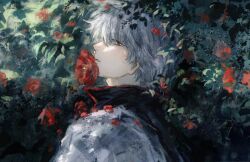 Rule 34 | 1boy, black shirt, bush, commentary, commentary request, flower, from side, gintama, grey hair, hair between eyes, highres, japanese clothes, kimono, leaf, looking at viewer, lushu kuye, male focus, messy hair, outdoors, parted lips, petals, popped collar, profile, red eyes, red flower, sakata gintoki, shirt, short hair, solo, upper body, white kimono