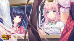 4girls animal_ear_fluff animal_ears bell black_hair blurry blush brown_hair buttons cat_ears cat_girl cherry_print chocola_(nekopara) chopsticks depth_of_field floral_print floral_print_kimono flower_print food_print fraise_(nekopara) fruit_print game_cg green_eyes hair_ornament hairclip indoors japanese_clothes kimono minazuki_shigure multiple_girls neck_bell nekopara night night_sky official_art pink_hair pink_kimono polka_dot print_kimono purple_eyes sayori_(neko_works) siblings sisters sky slit_pupils smile star_(sky) twins vanilla_(nekopara) watermark wavy_hair white_hair white_polka_dots window