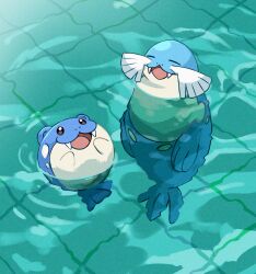 Rule 34 | :d, absurdres, afloat, anzu (01010611), closed eyes, commentary request, fangs, gen 3 pokemon, highres, nintendo, no humans, open mouth, pokemon, pokemon (creature), pokemon focus, pool, sealeo, smile, spheal, tongue, water