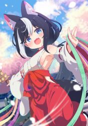 1girl absurdres animal_ears bare_shoulders black_hair blue_eyes blush breasts cherry_blossoms commission detached_sleeves fox_ears fox_tail hakama hakama_skirt highres holding japanese_clothes kimono long_hair looking_at_viewer miko multicolored_hair open_mouth original outdoors red_hakama ribbon-trimmed_sleeves ribbon_trim shiro9jira skeb_commission skirt small_breasts smile solo streaked_hair tail white_hair white_kimono wide_sleeves