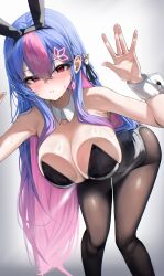 1girl absurdres against_glass animal_ear_hairband animal_ears armpits bare_shoulders bent_over bing_hayu black_leotard black_pantyhose blue_hair blush breast_press breasts breasts_on_glass clock_hair_ornament collarbone colored_bangs crossed_bangs detached_collar fake_animal_ears gigabani glass grey_background hair_between_eyes hairband hand_on_glass highres large_breasts leotard long_hair looking_at_viewer luvdia mole mole_on_breast mole_under_eye pantyhose pink_hair playboy_bunny rabbit_ears red_eyes sidelocks solo standing strapless strapless_leotard sweat very_long_hair virtual_youtuber wrist_cuffs