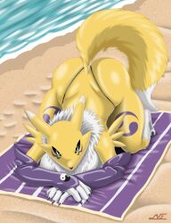 1girl animal_ears ass beach beach_towel bikini black_sclera blue_eyes breasts chest_fur claws colored_sclera digimon digimon_(creature) fingerless_gloves fox_ears fox_girl fox_tail furry furry_female gloves highres huge_ass large_breasts looking_at_viewer markings mvs_works on_ground renamon string_bikini swimsuit tail top-down_bottom-up towel water white_fur yellow_fur yin_yang