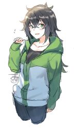 1girl :d black_hair black_pants black_shirt blush breasts collarbone commentary_request cowboy_shot cropped_legs flying_sweatdrops genderswap genderswap_(mtf) green_eyes green_jacket hair_between_eyes hand_up iwatani_naofumi jacket long_hair looking_at_viewer masuji medium_breasts messy_hair multicolored_jacket open_mouth pants shirt signature simple_background sketch sleeves_past_wrists smile solo tate_no_yuusha_no_nariagari two-tone_jacket white_background white_jacket