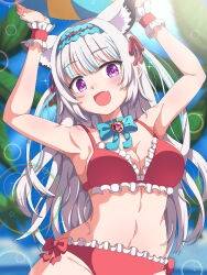 1girl animal_ears ball beachball bikini breasts commission highres indie_virtual_youtuber large_breasts long_hair mikoshi_(user_wvyd4348) purple_eyes red_bikini skeb_commission solo swimsuit virtual_youtuber