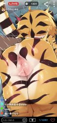 1boy 1girl absurdres animal_ears anus ass commentary dagasi fake_phone_screenshot fake_screenshot furry furry_female hetero highres large_variant_set livestream loli original pussy pussy_juice short_hair tail tiger_ears tiger_girl tiger_tail translation_request uncensored variant_set