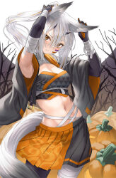 Rule 34 | animal ears, character request, copyright request, din (flypaper), looking at viewer, midriff, navel, skirt, tagme, tail