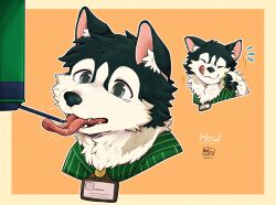 1boy animal_ears artist_name betsuto_39 black_fur commentary dog_boy dog_ears drinking english_commentary fangs green_shirt highres howl_(zenless_zone_zero) husky looking_to_the_side multicolored_fur name_tag notice_lines scratching_cheek shirt signature smile tongue tongue_out white_fur zenless_zone_zero