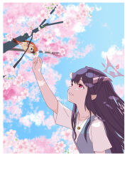 Rule 34 | 1girl, absurdres, bird, black hair, blue archive, blue vest, cats mandu, cherry blossoms, demon girl, demon horns, fuuka (blue archive), fuuka (casual) (blue archive), halo, highres, horns, long hair, looking at animal, official alternate costume, parted lips, pink halo, red eyes, shirt, short sleeves, smile, solo, upper body, vest, white shirt