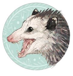 animal animal_focus bad_tag black_eyes giulialibard grey_fur highres no_humans open_mouth opossum original realistic simple_background sketch snout solo teeth whiskers white_fur