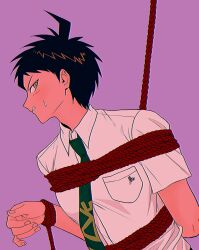 Rule 34 | 1boy, absurdres, bound, brown eyes, brown hair, danganronpa (series), danganronpa 2: goodbye despair, green necktie, hand up, highres, hinata hajime, looking at viewer, male focus, necktie, purple background, shirt, short hair, simple background, solo, tied up (nonsexual), upper body, uri ka55