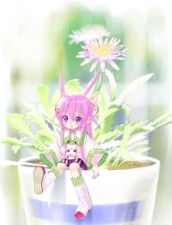 1girl axiacid collared_shirt commentary_request flower flower_pot full_body hair_between_eyes hair_ears hair_flaps hair_ornament highres long_hair long_pointy_ears long_sidelocks long_sleeves mini_person minigirl open_mouth original pink_flower pink_hair pleated_skirt pointy_ears purple_eyes purple_skirt ribbon-trimmed_socks ribbon_trim shirt shoes sidelocks sitting skirt smile socks solo star_(symbol) star_hair_ornament star_in_eye suzuka_sutera_(axiacid) symbol_in_eye white_shirt white_shoes white_socks wide_sleeves