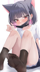 Rule 34 | 1girl, absurdres, animal ears, black choker, black socks, blue archive, blunt bangs, blunt ends, blush, bob cut, cat ears, cat girl, choker, clothes around waist, colored inner animal ears, colored inner hair, commentary, convenient leg, ear blush, earclip, earrings, extra ears, eyelashes, feet, foot focus, foot out of frame, furrowed brow, hair behind ear, hair ornament, hairclip, halo, hand up, highres, jewelry, kazusa (band) (blue archive), kazusa (blue archive), knees up, looking at viewer, mask, mask pull, medium hair, miniskirt, mouth mask, multicolored hair, no shoes, nose blush, official alternate costume, open mouth, pink halo, pleated skirt, pulling own clothes, red eyes, shirt, shy, simple background, sitting, skirt, socks, soles, solo, stud earrings, sweatdrop, symbol-only commentary, t-shirt, thighs, toes, tsurime, wendao, white background, white shirt, white skirt