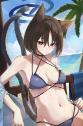 1girl absurdres animal_ears bikini black_eyes black_hair blue_archive blue_bikini blue_halo blue_sky breasts cat_ears cat_girl cat_tail cloud collarbone commentary_request day halo ham_(hamparty) highres kikyou_(blue_archive) kikyou_(swimsuit)_(blue_archive) looking_at_viewer medium_breasts multiple_tails ocean official_alternate_costume outdoors short_hair sitting sky solo swimsuit tail